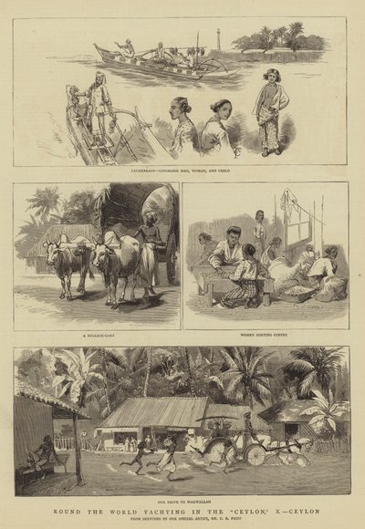 Yate alrededor del mundo en el Ceylon, X, Ceylon de Charles Edwin Fripp